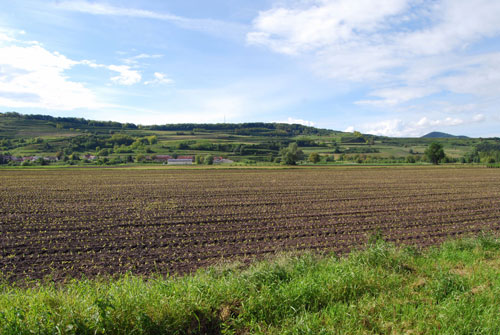 500px-Kaiserstuhl-1